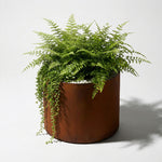 Corten Ring Planter
