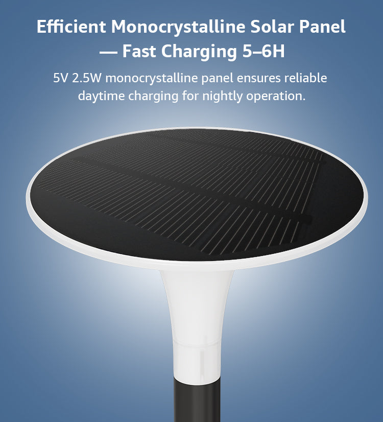 Solar Garden Path Light with Ground Spike