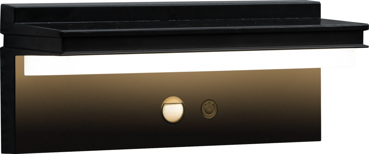 Solar Motion Sensor Wall Light