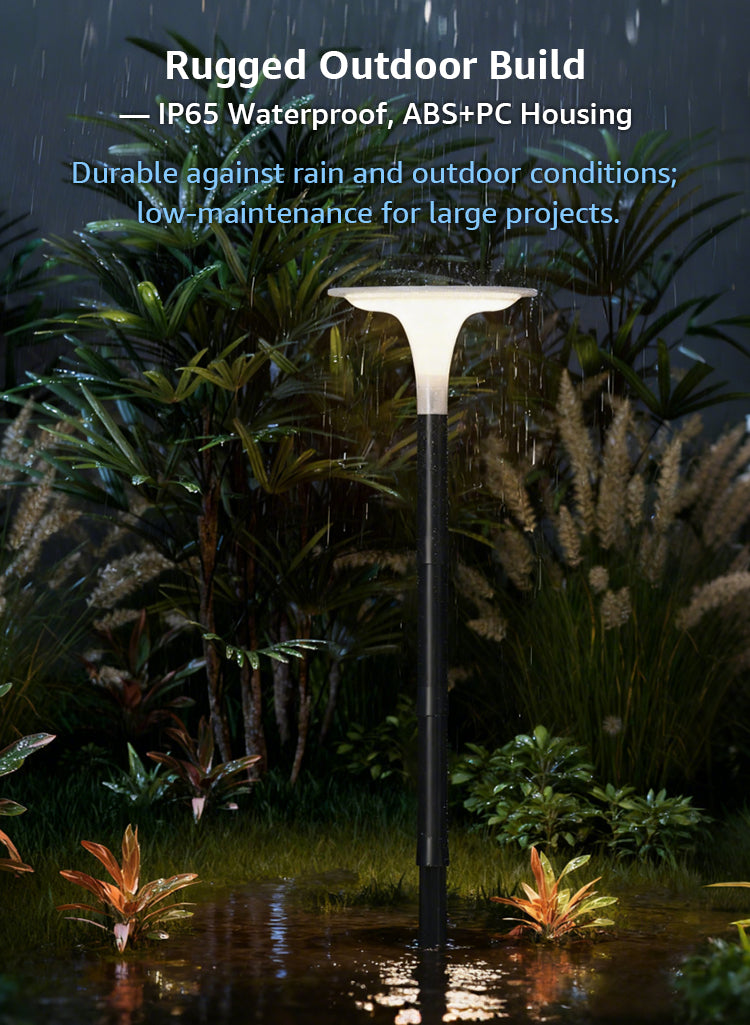 Solar Garden Path Light with Ground Spike