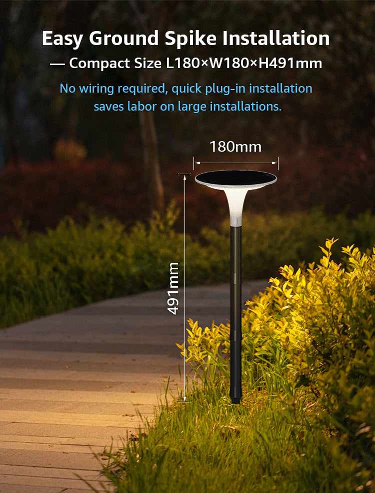 Solar Garden Path Light with Ground Spike