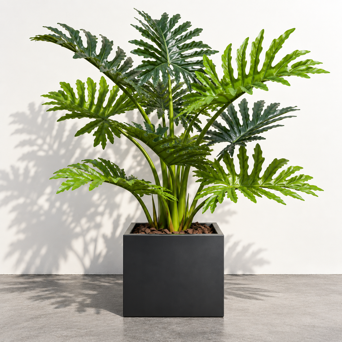 MANVAS Artificial Split Philo Plant