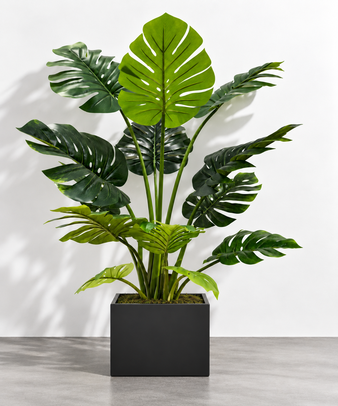 MANVAS Artificial Monstera Plant