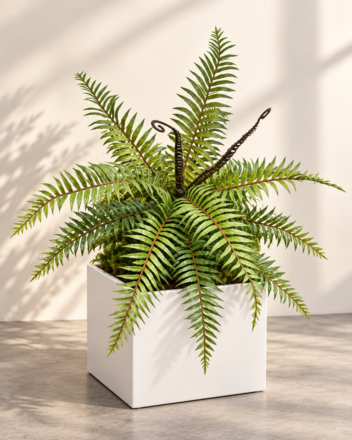 MANVAS Artificial Boston Fern