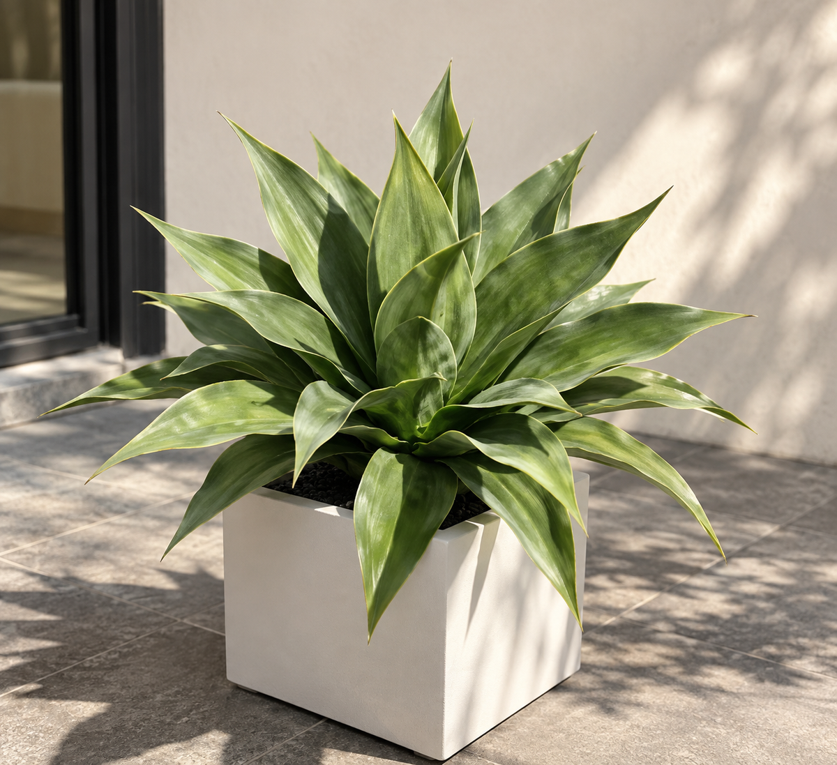 MANVAS Artificial Agave Plant