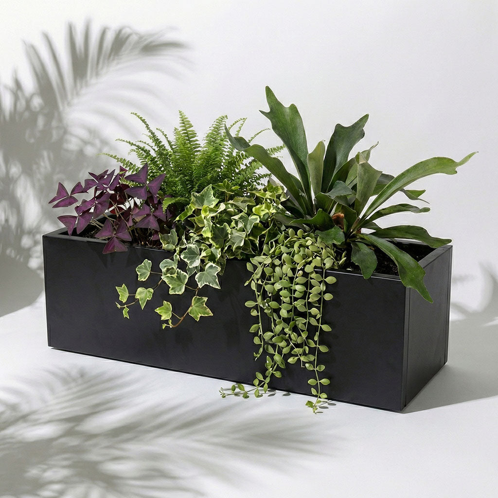 Black rectangular planter with assorted green plants on a light background